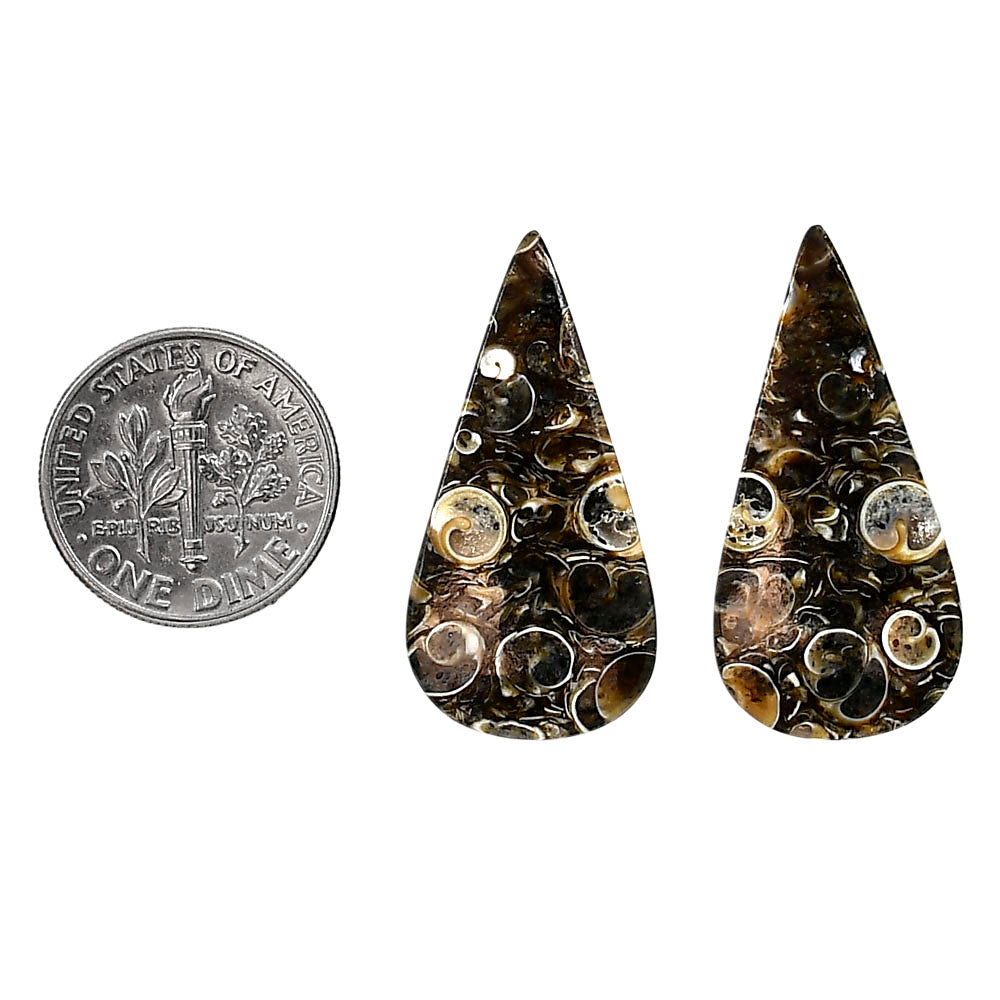 Turtella Jasper Pair 15x30.3x4.3 mm Pear Shape Polished Gemstone LS70-04188