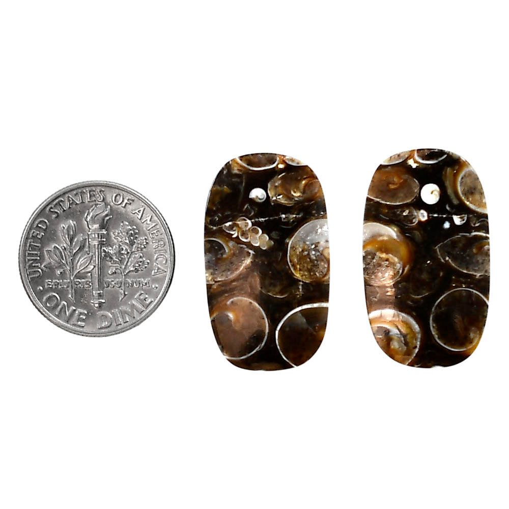 Turtella Jasper Pair 14.5x24.8x4 mm Cushion Shape Polished Gemstone LS70-04189