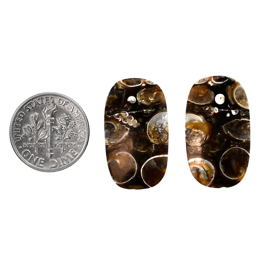 Turtella Jasper Pair 14.5x24.8x4 mm Cushion Shape Polished Gemstone LS70-04189