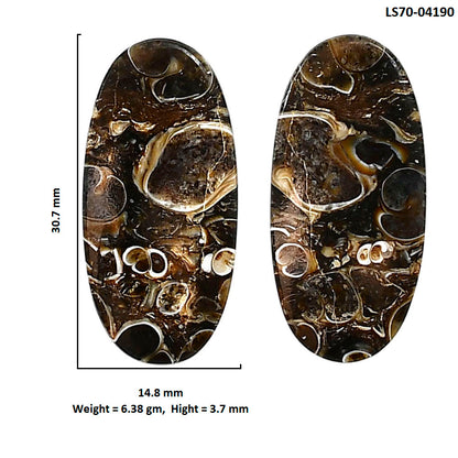 Turtella Jasper Pair 14.8x30.7x3.7 mm Oval Shape Polished Gemstone LS70-04190