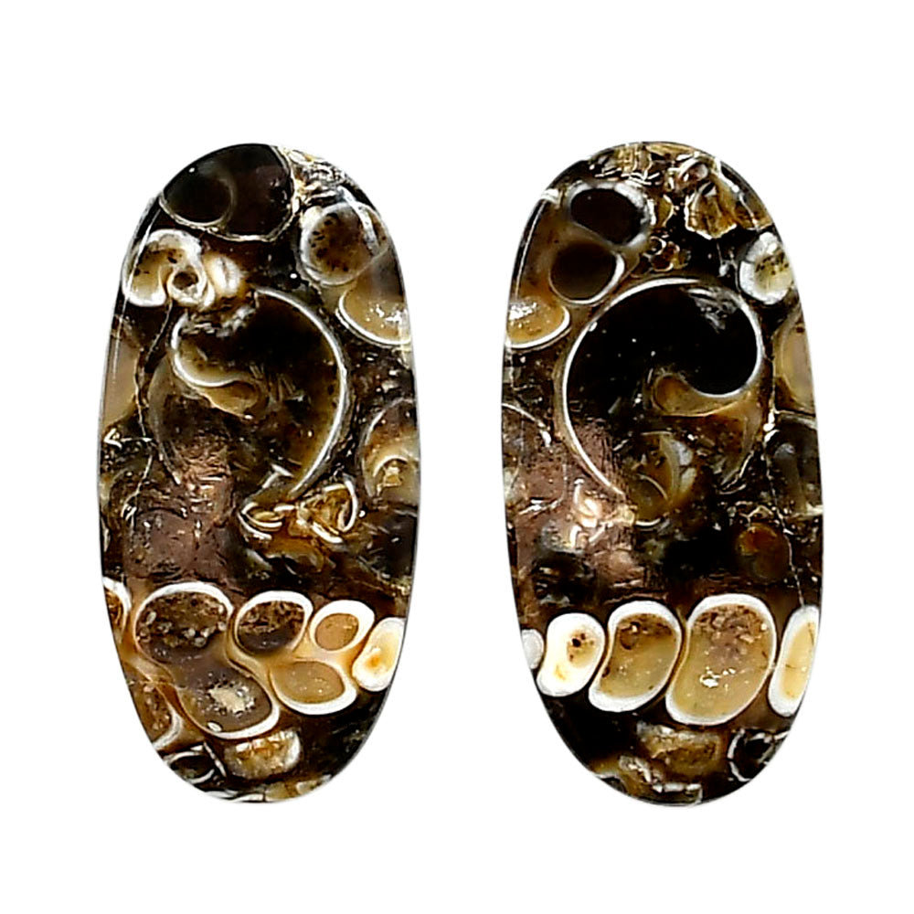 Turtella Jasper Pair 14x28.9x4 mm Oval Shape Polished Gemstone LS70-04193