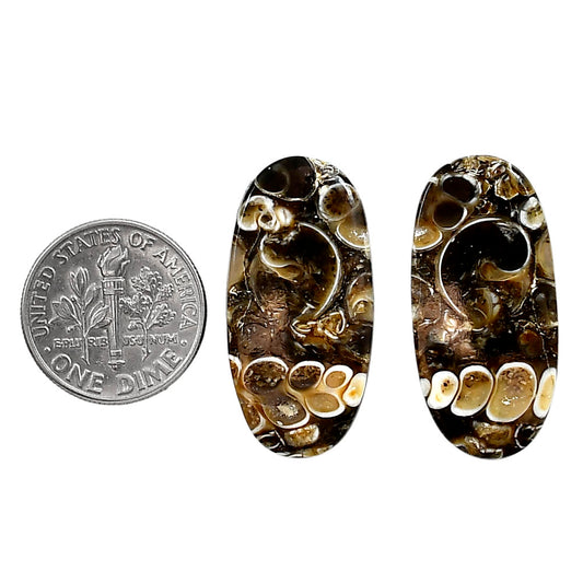 Turtella Jasper Pair 14x28.9x4 mm Oval Shape Polished Gemstone LS70-04193