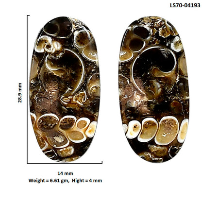 Turtella Jasper Pair 14x28.9x4 mm Oval Shape Polished Gemstone LS70-04193