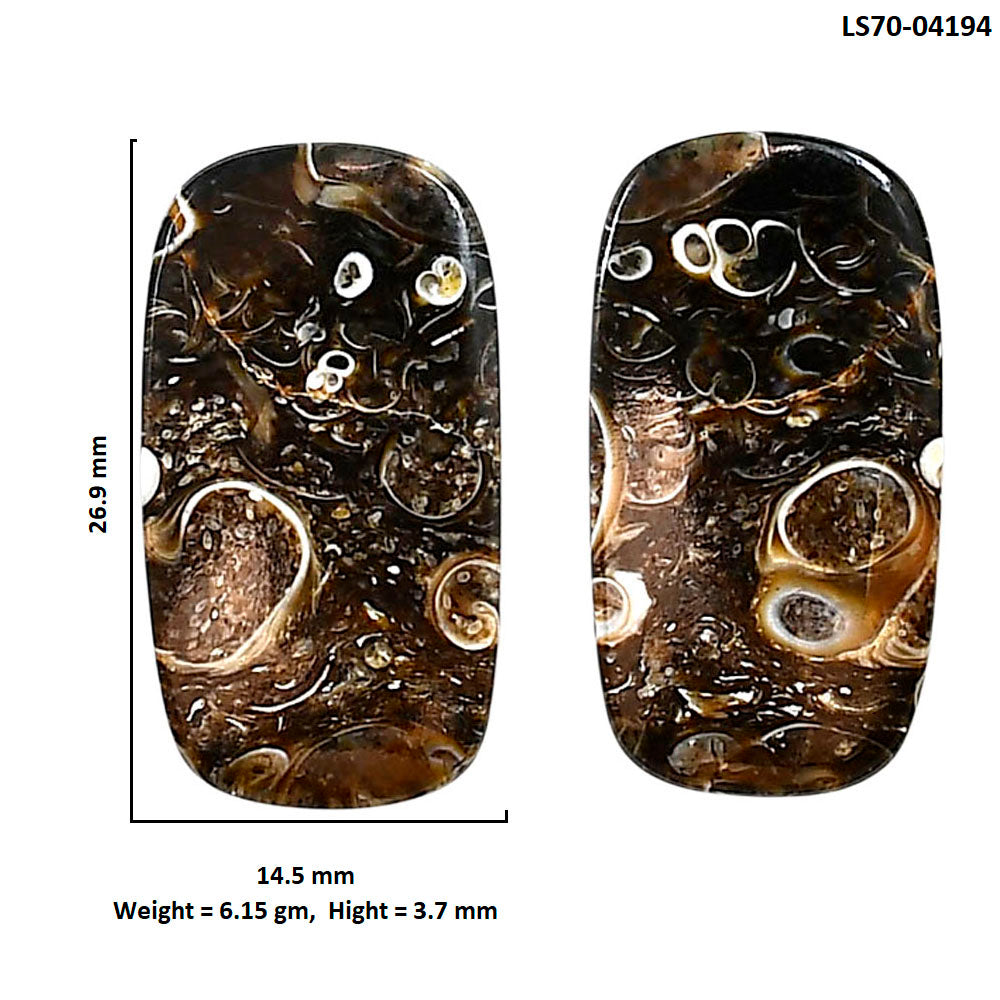 Turtella Jasper Pair 14.5x26.9x3.7 mm Cushion Shape Polished Gemstone LS70-04194