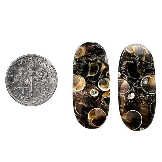 Turtella Jasper Pair 13x29.9x4 mm Oval Shape Polished Gemstone LS70-04195