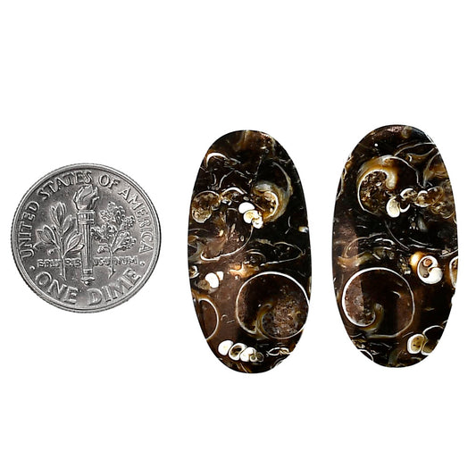 Turtella Jasper Pair 15x28.8x3.5 mm Oval Shape Polished Gemstone LS70-04196