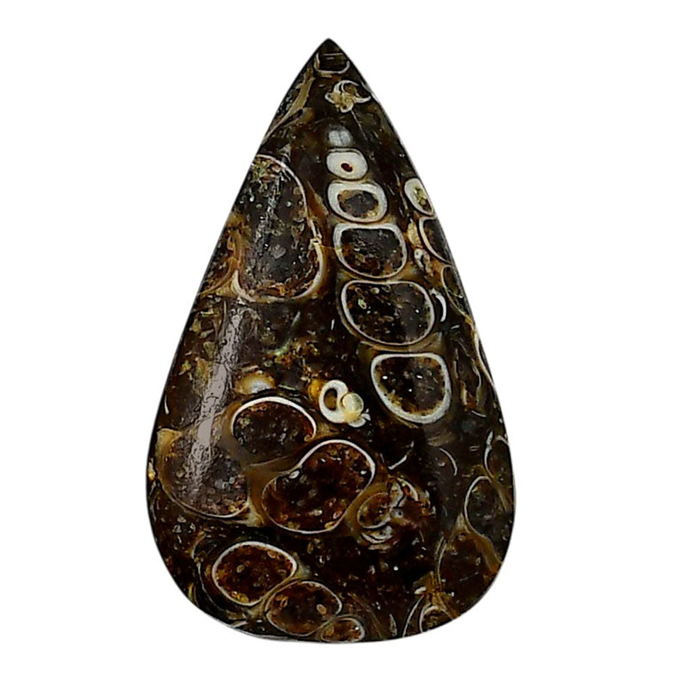 Turtella Jasper 20.2x33.4x5.5 mm Pear Shape Polished Gemstone LS70-05773