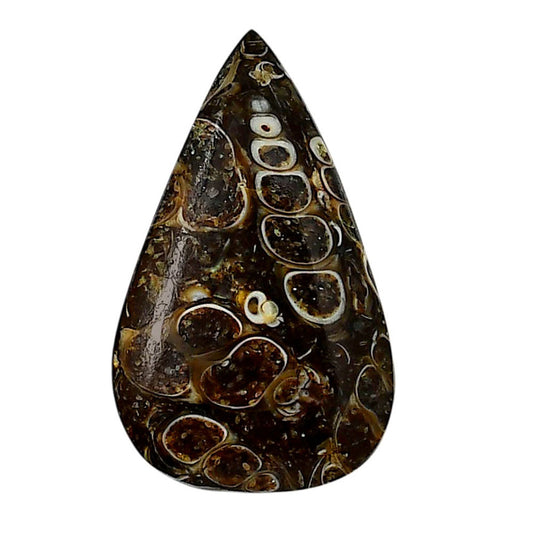 Turtella Jasper 20.2x33.4x5.5 mm Pear Shape Polished Gemstone LS70-05773
