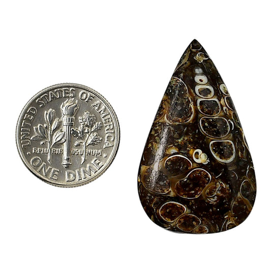 Turtella Jasper 20.2x33.4x5.5 mm Pear Shape Polished Gemstone LS70-05773