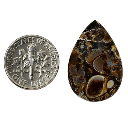 Turtella Jasper 17.7x26.3x5 mm Pear Shape Polished Gemstone LS70-05774