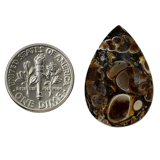 Turtella Jasper 17.7x26.3x5 mm Pear Shape Polished Gemstone LS70-05774