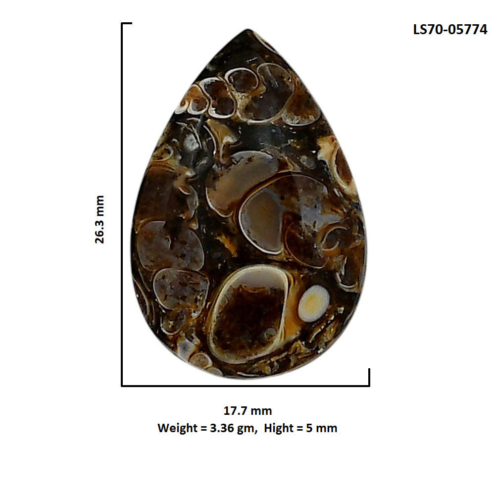 Turtella Jasper 17.7x26.3x5 mm Pear Shape Polished Gemstone LS70-05774
