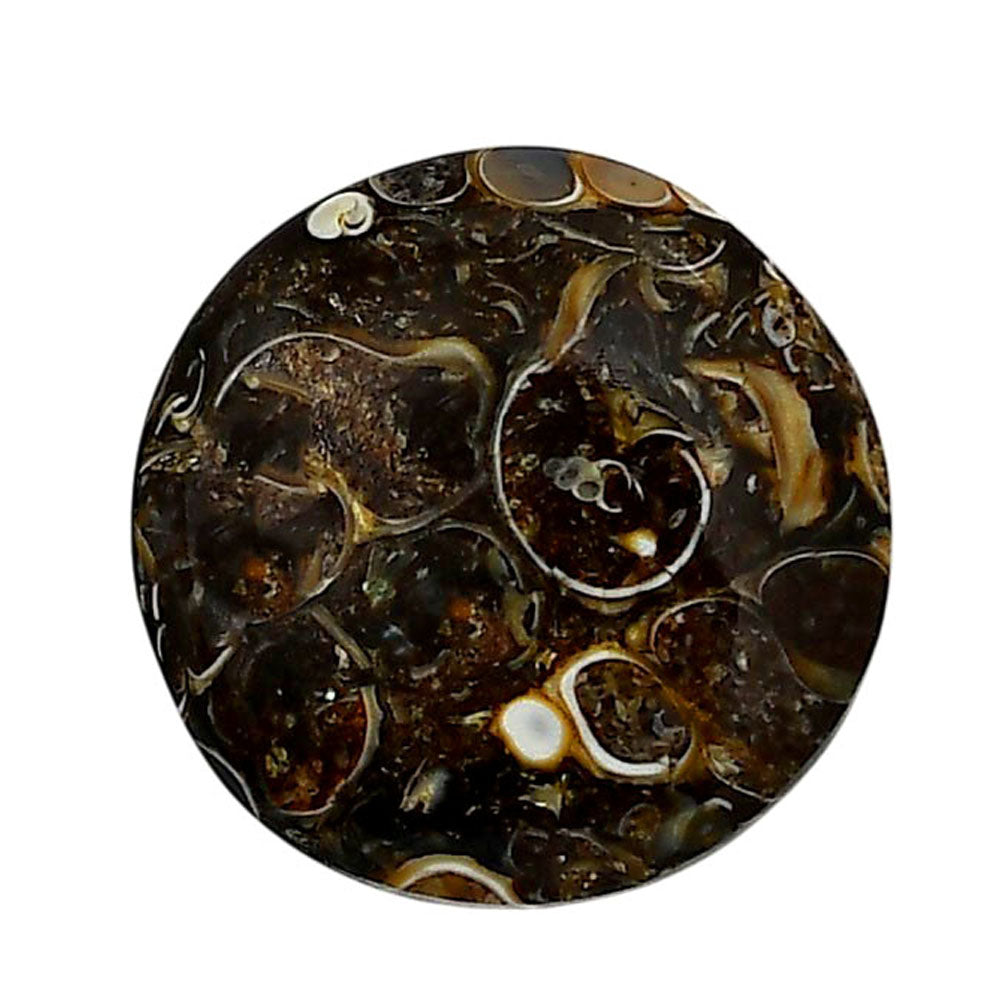 Turtella Jasper 23.6x23.6x5.5 mm Round Shape Polished Gemstone LS70-05775