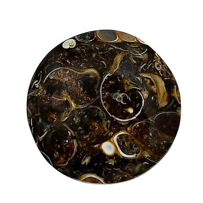 Turtella Jasper 23.6x23.6x5.5 mm Round Shape Polished Gemstone LS70-05775