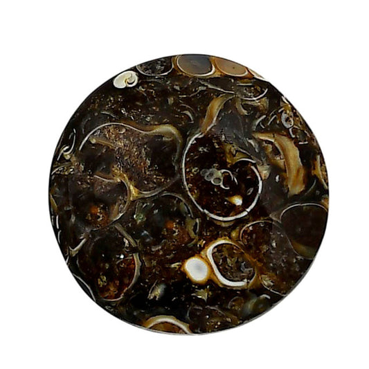 Turtella Jasper 23.6x23.6x5.5 mm Round Shape Polished Gemstone LS70-05775