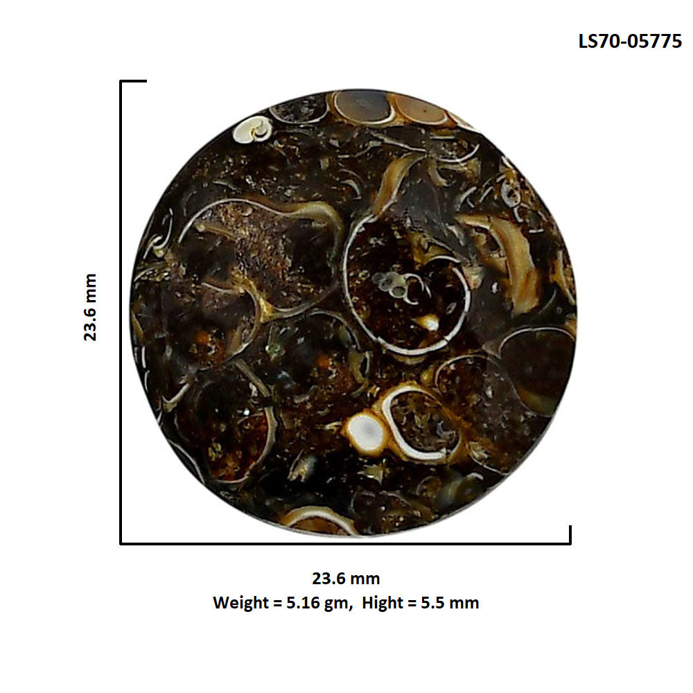 Turtella Jasper 23.6x23.6x5.5 mm Round Shape Polished Gemstone LS70-05775