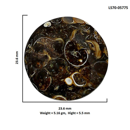 Turtella Jasper 23.6x23.6x5.5 mm Round Shape Polished Gemstone LS70-05775