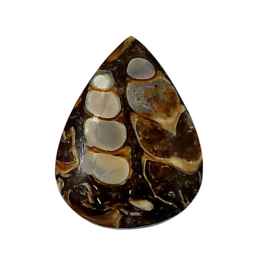 Turtella Jasper 17.4x23x4.5 mm Pear Shape Polished Gemstone LS70-05776
