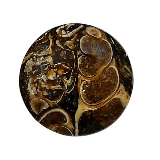 Turtella Jasper 20.8x20.8x4.5 mm Round Shape Polished Gemstone LS70-05777