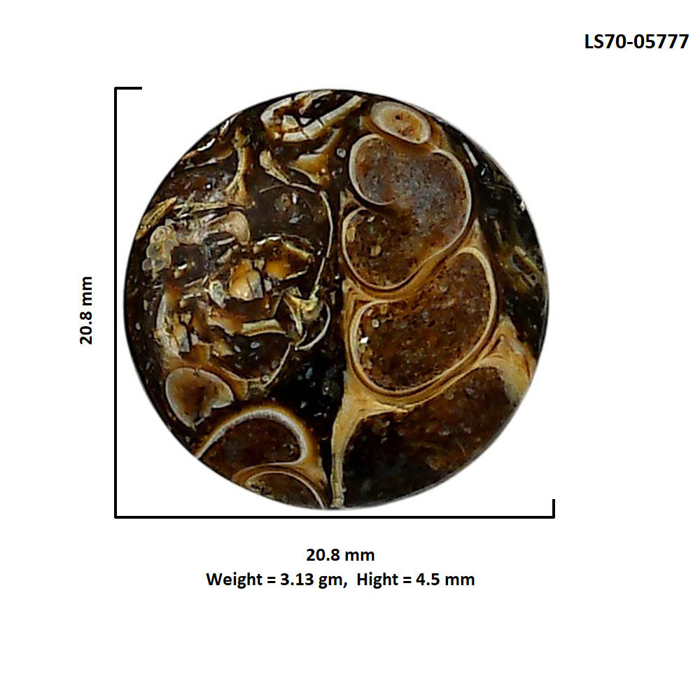 Turtella Jasper 20.8x20.8x4.5 mm Round Shape Polished Gemstone LS70-05777