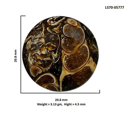 Turtella Jasper 20.8x20.8x4.5 mm Round Shape Polished Gemstone LS70-05777