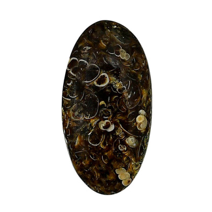 Turtella Jasper 15.5x29.9x4.5 mm Oval Shape Polished Gemstone LS70-05778