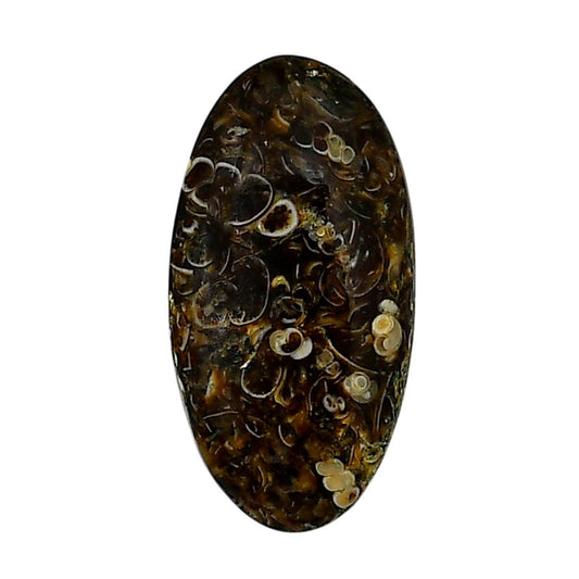 Turtella Jasper 15.5x29.9x4.5 mm Oval Shape Polished Gemstone LS70-05778
