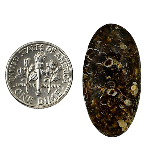 Turtella Jasper 15.5x29.9x4.5 mm Oval Shape Polished Gemstone LS70-05778