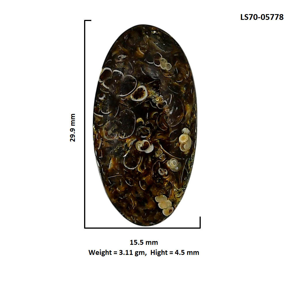 Turtella Jasper 15.5x29.9x4.5 mm Oval Shape Polished Gemstone LS70-05778