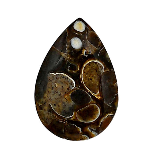 Turtella Jasper 17.5x25.7x3.3 mm Pear Shape Polished Gemstone LS70-05779