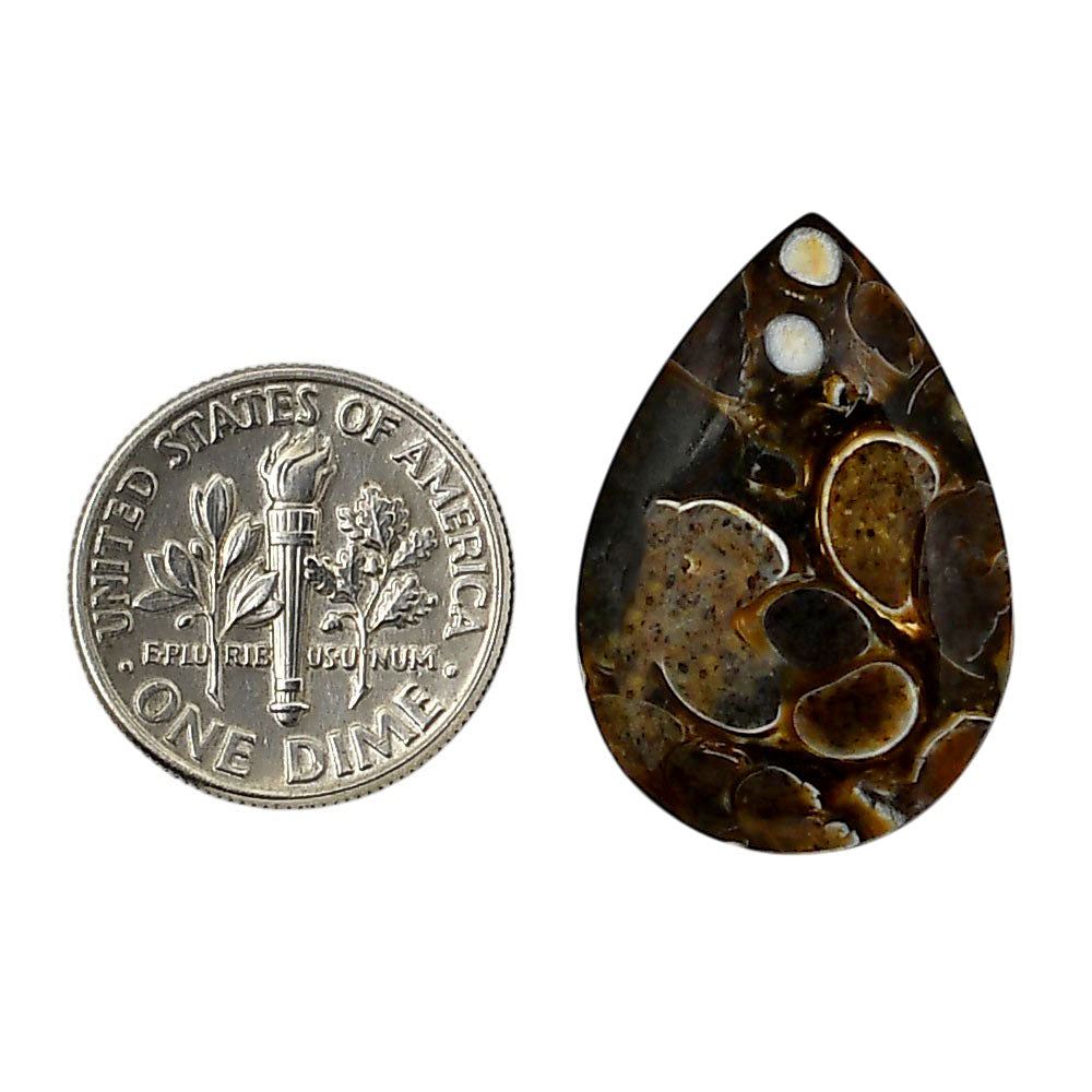 Turtella Jasper 17.5x25.7x3.3 mm Pear Shape Polished Gemstone LS70-05779