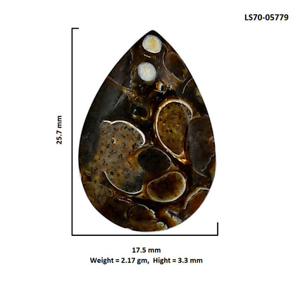 Turtella Jasper 17.5x25.7x3.3 mm Pear Shape Polished Gemstone LS70-05779