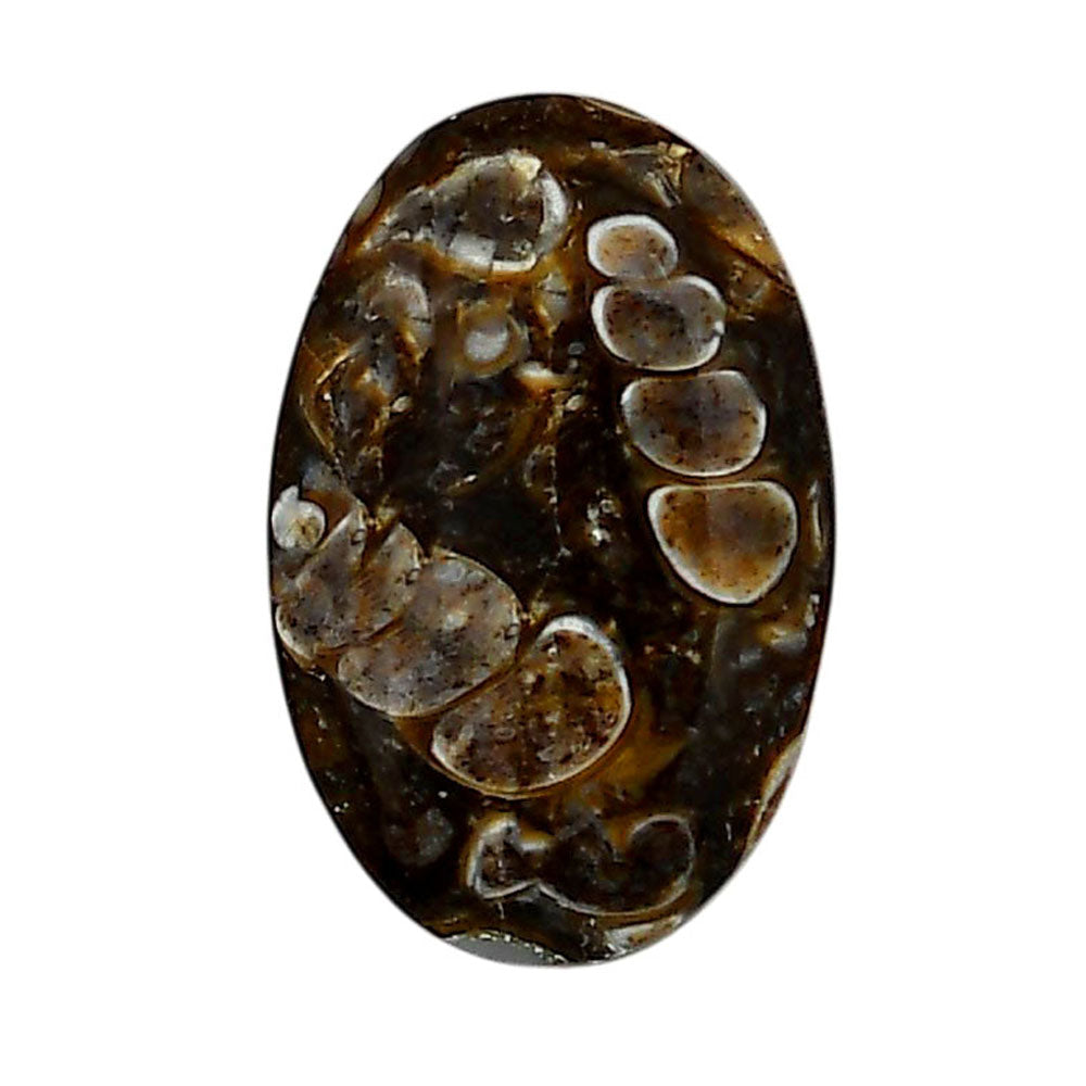 Turtella Jasper 17x26.5x5 mm Oval Shape Polished Gemstone LS70-05780