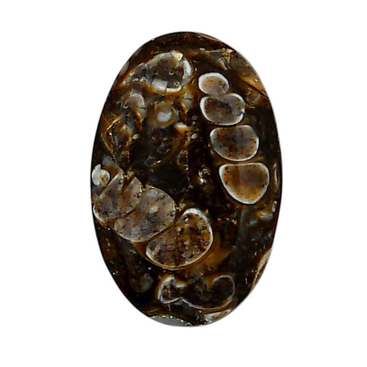 Turtella Jasper 17x26.5x5 mm Oval Shape Polished Gemstone LS70-05780