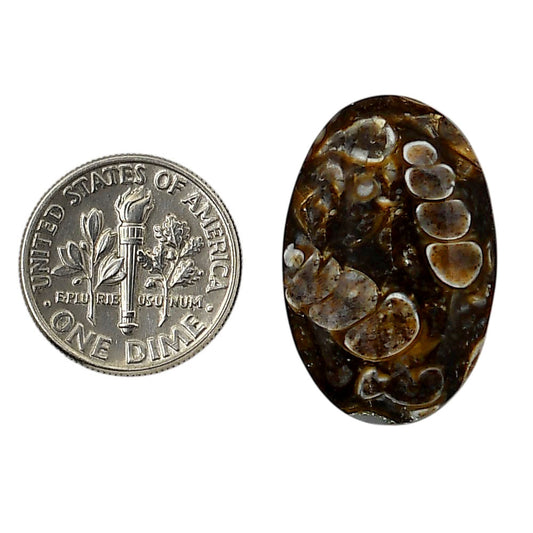 Turtella Jasper 17x26.5x5 mm Oval Shape Polished Gemstone LS70-05780