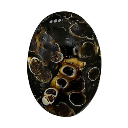 Turtella Jasper 18.5x26.1x6 mm Oval Shape Polished Gemstone LS70-05781