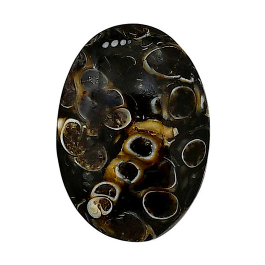 Turtella Jasper 18.5x26.1x6 mm Oval Shape Polished Gemstone LS70-05781