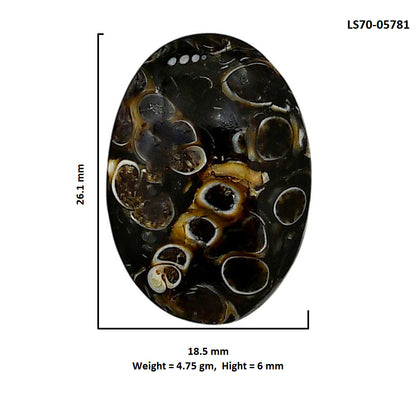Turtella Jasper 18.5x26.1x6 mm Oval Shape Polished Gemstone LS70-05781