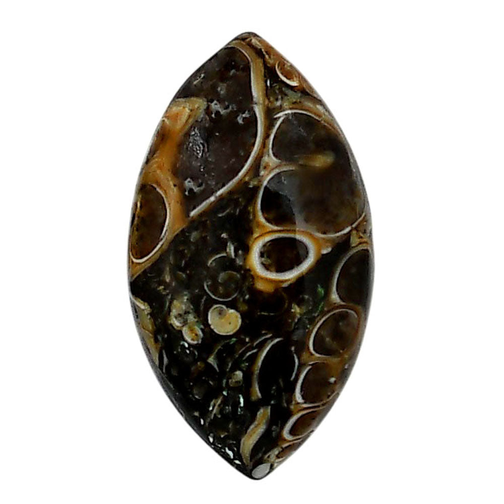 Turtella Jasper 16.3x29.55x6.5 mm Marquise Shape Polished Gemstone LS70-05782