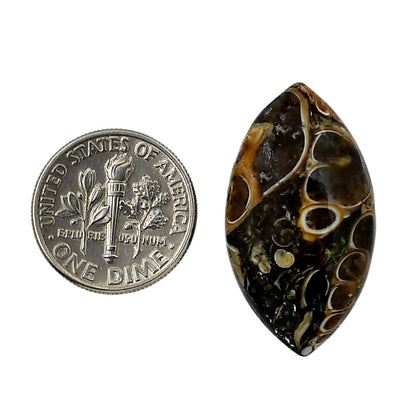 Turtella Jasper 16.3x29.55x6.5 mm Marquise Shape Polished Gemstone LS70-05782