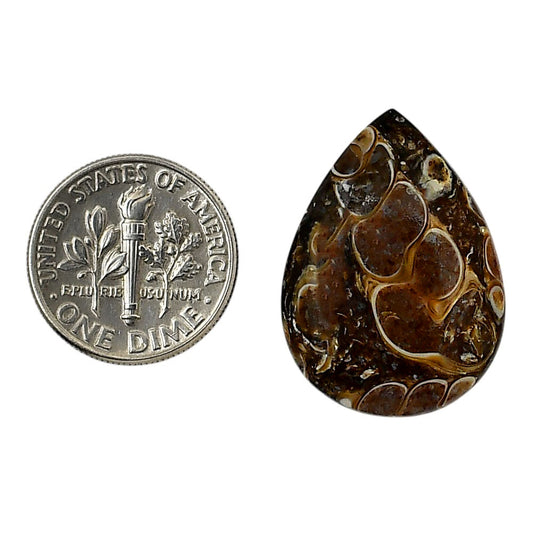 Turtella Jasper 18.9x26x4.7 mm Pear Shape Polished Gemstone LS70-05784