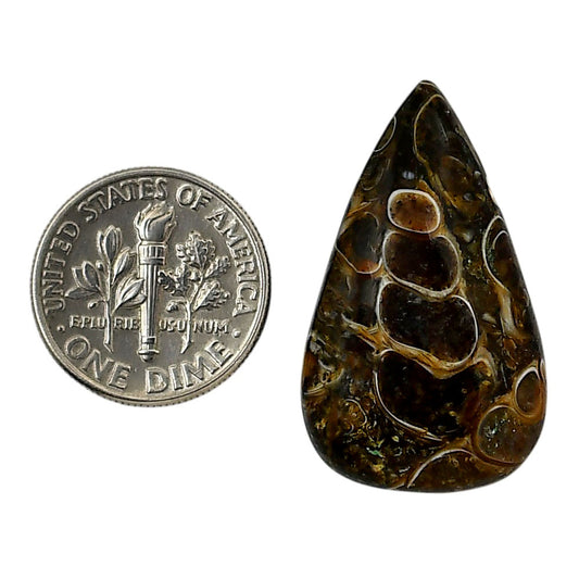 Turtella Jasper 18.2x30.6x5.8 mm Pear Shape Polished Gemstone LS70-05785