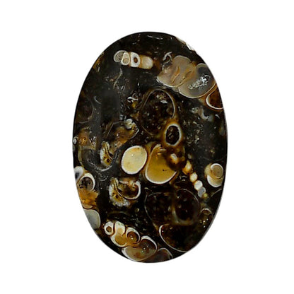 Turtella Jasper 19.6x29.25x5 mm Oval Shape Polished Gemstone LS70-05786