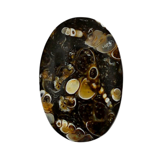 Turtella Jasper 19.6x29.25x5 mm Oval Shape Polished Gemstone LS70-05786