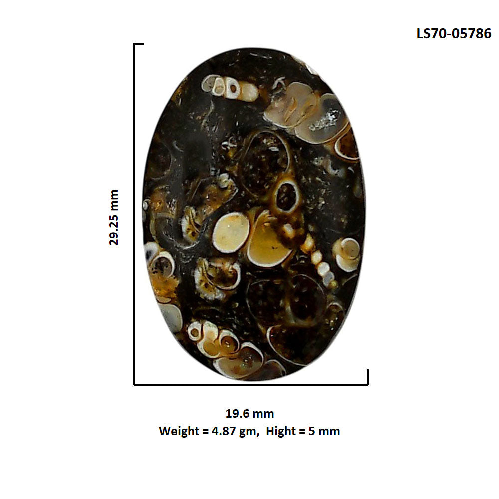 Turtella Jasper 19.6x29.25x5 mm Oval Shape Polished Gemstone LS70-05786