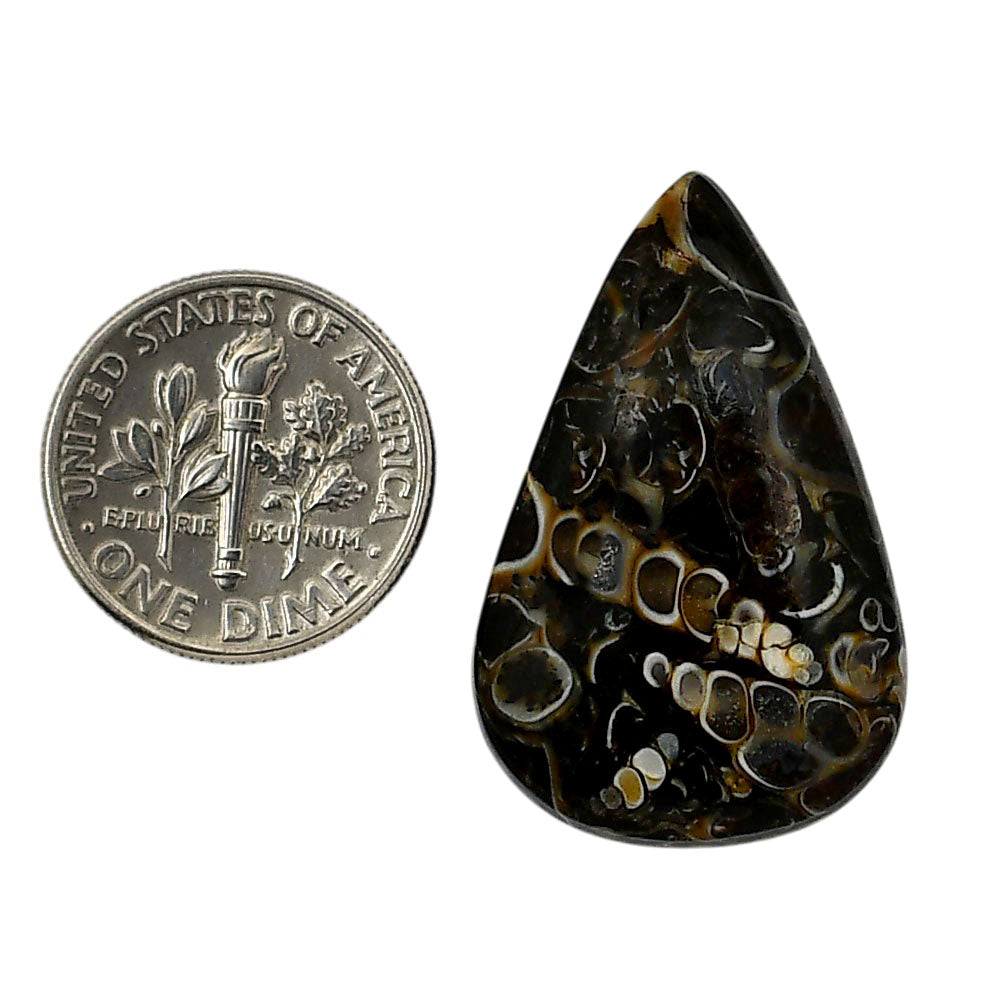 Turtella Jasper 19.6x30.65x5.5 mm Pear Shape Polished Gemstone LS70-05787