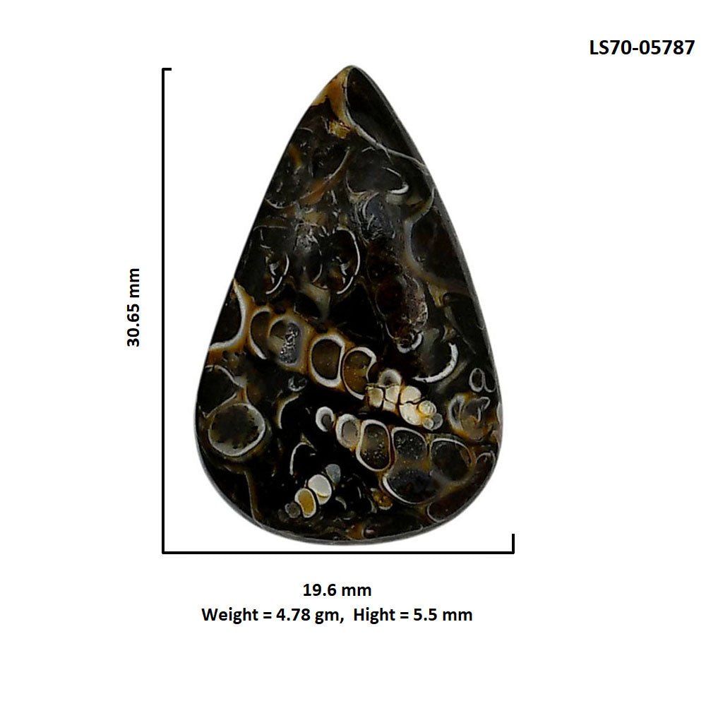 Turtella Jasper 19.6x30.65x5.5 mm Pear Shape Polished Gemstone LS70-05787