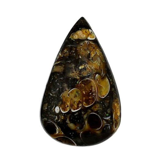 Turtella Jasper 18.4x29.35x6.7 mm Pear Shape Polished Gemstone LS70-05788