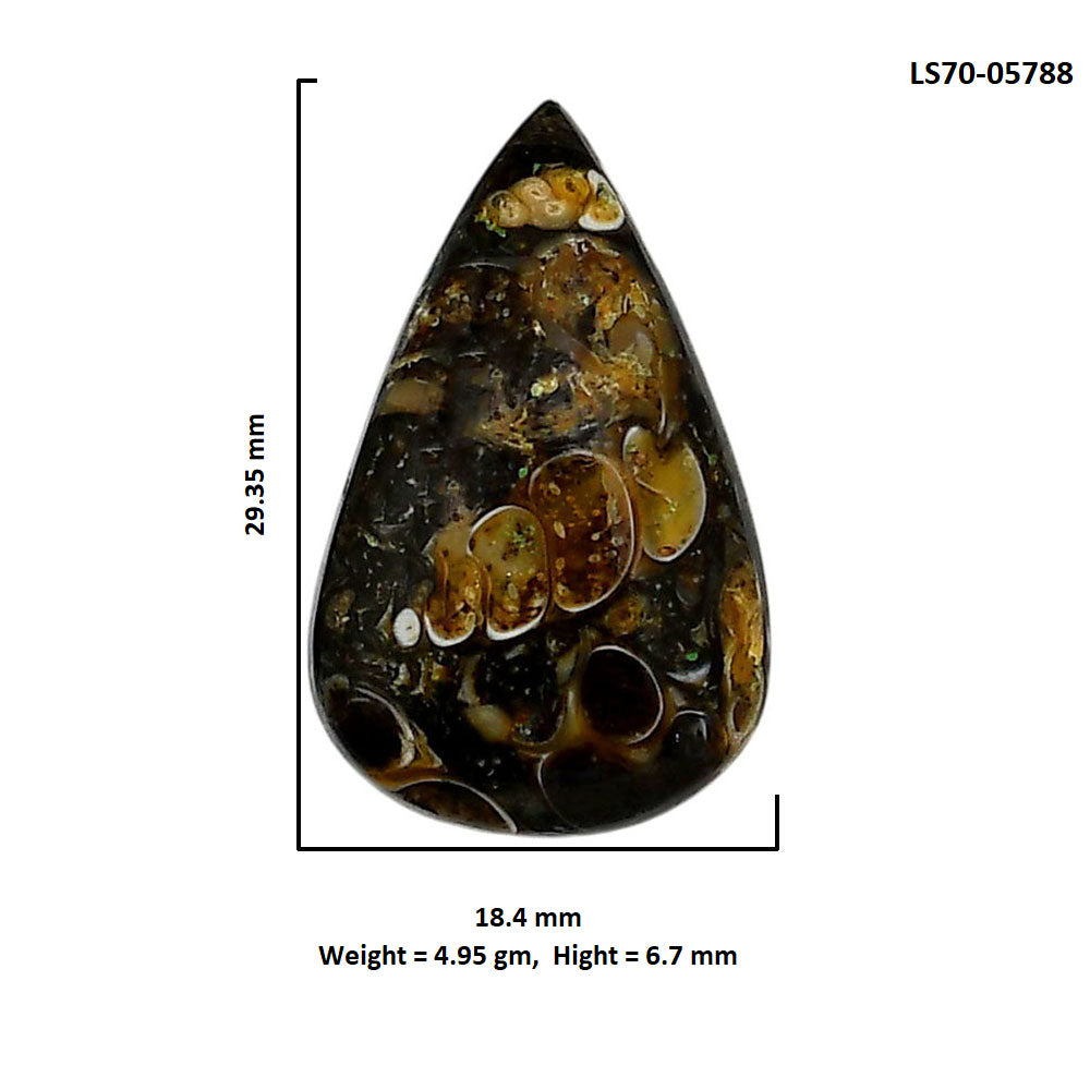 Turtella Jasper 18.4x29.35x6.7 mm Pear Shape Polished Gemstone LS70-05788