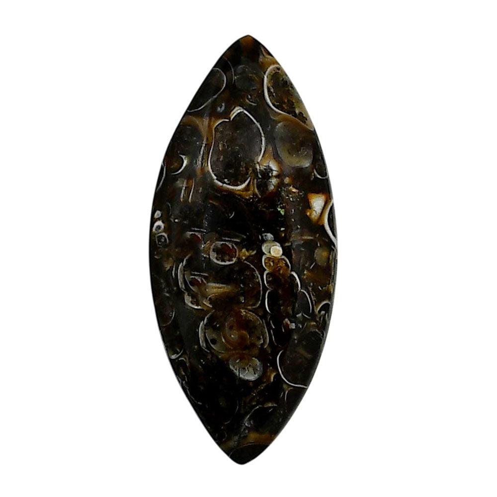 Turtella Jasper 15.5x35x5.3 mm Marquise Shape Polished Gemstone LS70-05789